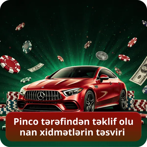 Pinco tərəfindən təklif olunan xidmətlərin təsviri