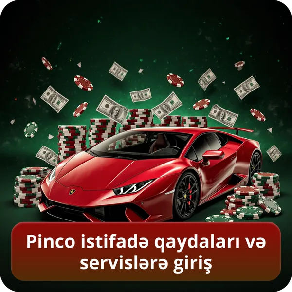 Pinco istifadə qaydaları və servislərə giriş