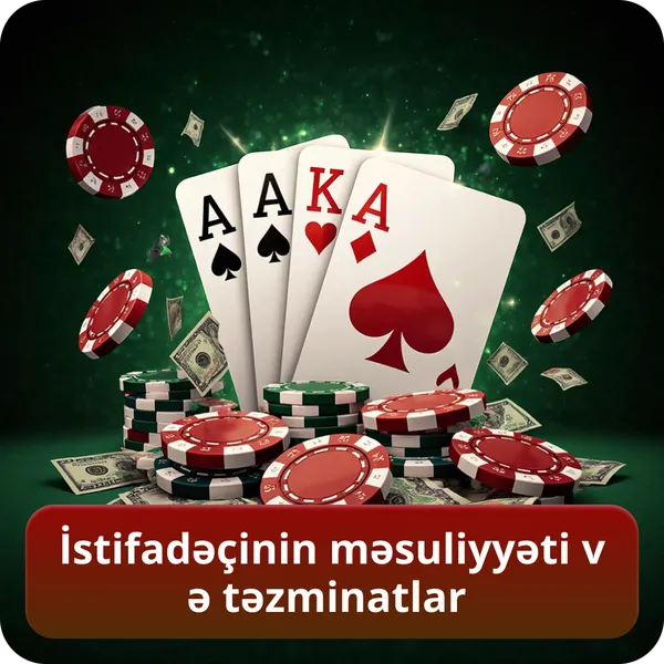 İstifadəçinin məsuliyyəti və təzminatlar